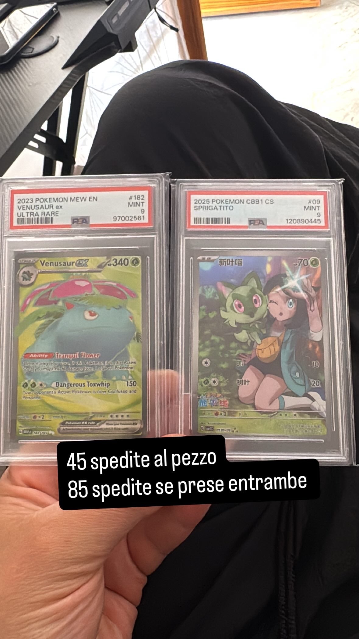 Venusaur e sprigatito psa9